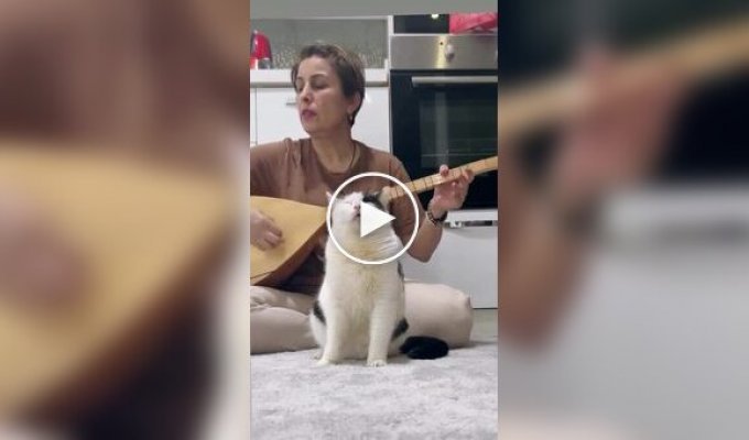 Дуэт года: Кот и его хозяйка исполняют народную песню