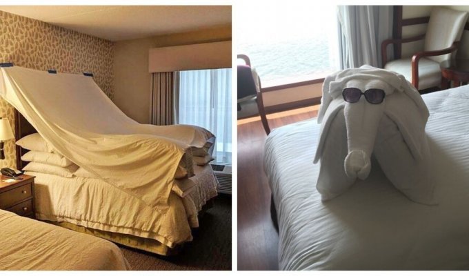 25 times hotels surprised guests with their creativity (26 photos)