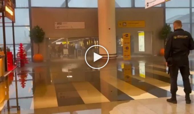 Голодный сотрудник Шереметьево случайно устроил потоп в аэропорту
