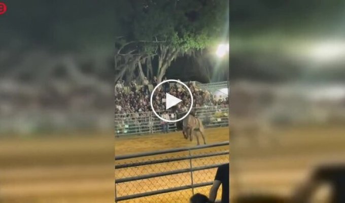 A Cowboy Was Injured After a Spectacular Rodeo Celebration