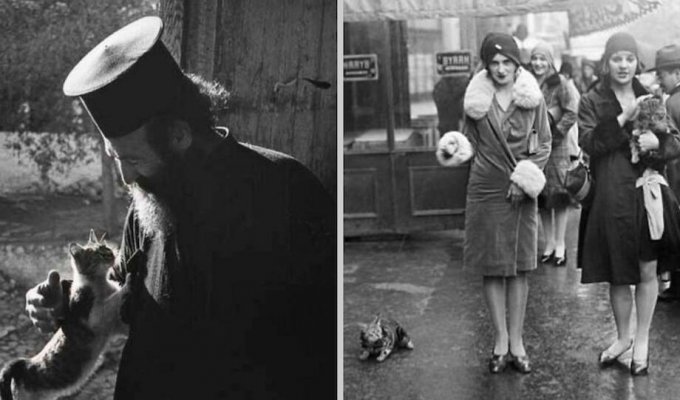 People have always loved cats: 14 pictures of furry pets in pictures of past centuries (15 photos)