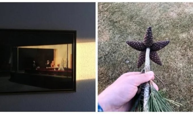 18 Perfect Photos Where Everything Is in Perfect Order (19 photos)