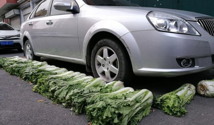 Китайский водитель нашел оригинальный способ огородить свое парковочное место (3 фото)