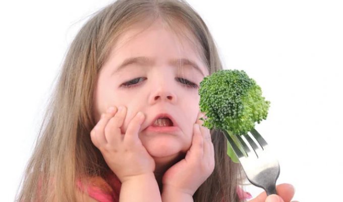 40 Funny and Ridiculous Reasons Why Children Refuse to Eat (41 photos)