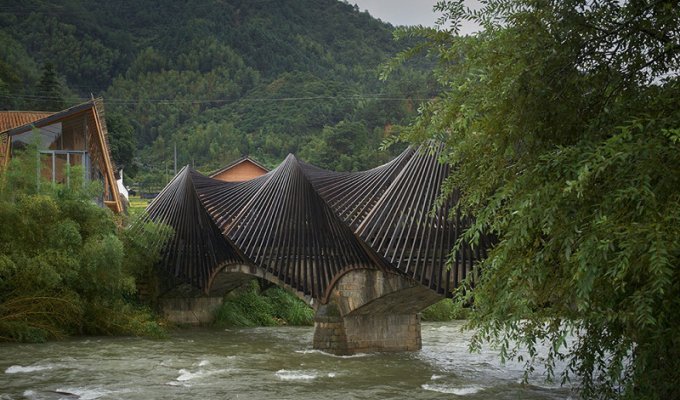 В Китае показали невероятные изделия, которые можно делать из бамбука (13 фото)