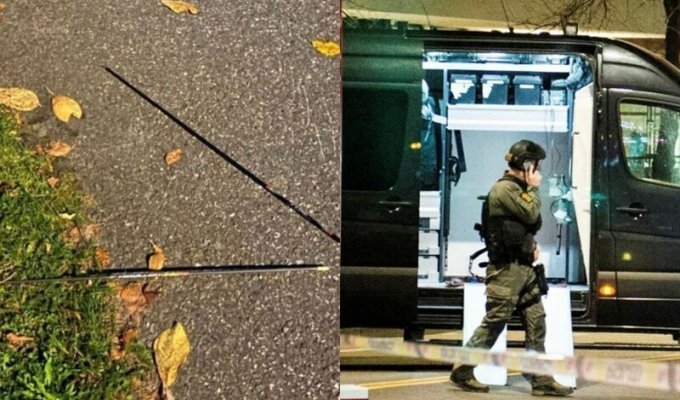 В Норвегии мужчина расстрелял из лука прохожих. Есть жертвы (5 фото + 1 видео)