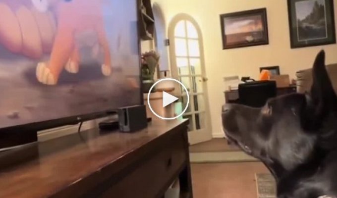 A dog's emotional reaction to the death of the lion Mufasa from the cartoon The Lion King