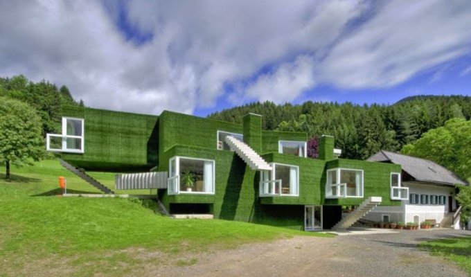 Зеленый дом в Австрии (17 фотографий)