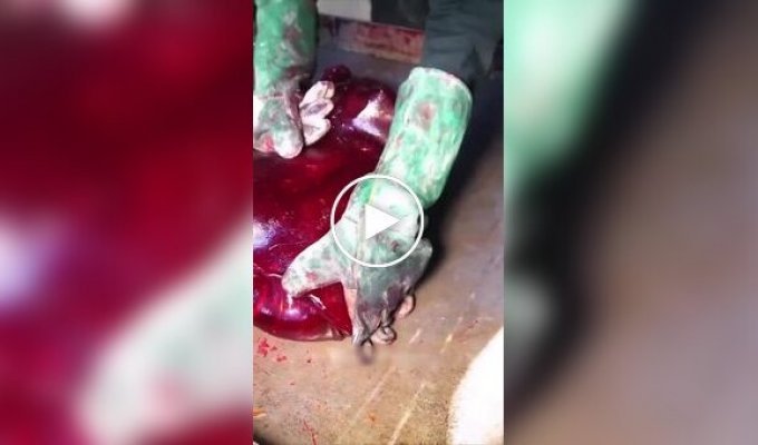 Как в Индии делают кислые конфеты