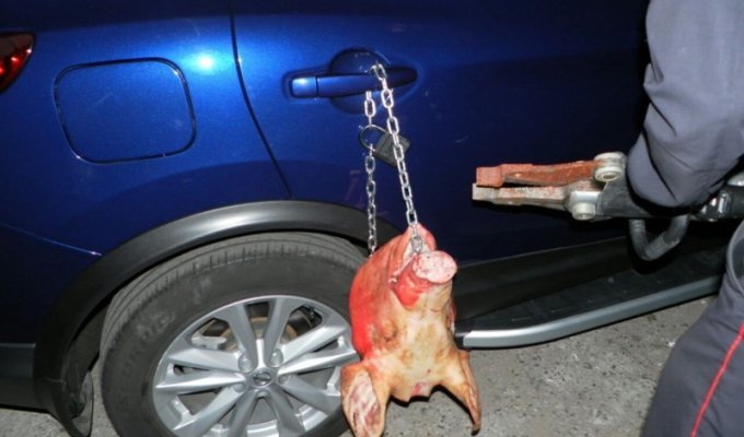 Хозяйке Nissan в Чебоксарах подложили свинью (5 фото)