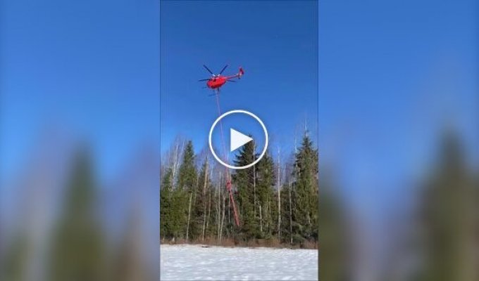 Механизированная обрезка деревьев возле ЛЭП с вертолета