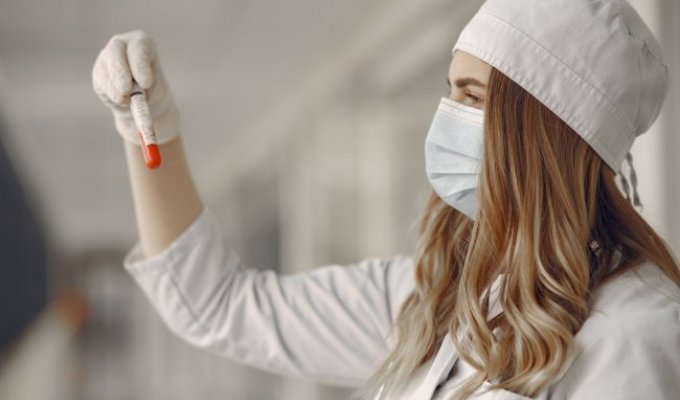 Сдать кровь: какие анализы бывают и как правильно подготовиться