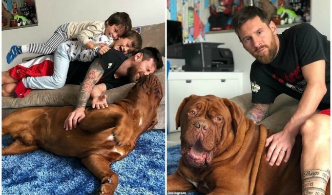 Лео Месси поделился новым домашним фото с сыновьями и псом Халком (6 фото)