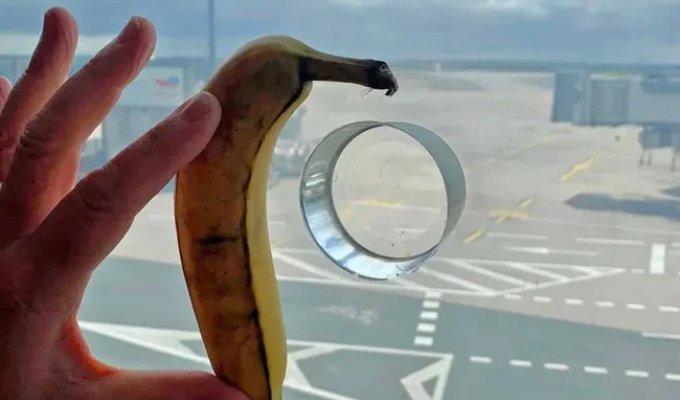 Mysterious holes were noticed in the windows of a Paris airport (4 photos)