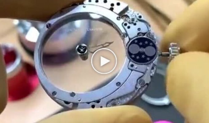 Mystery watch made by a professional watchmaker