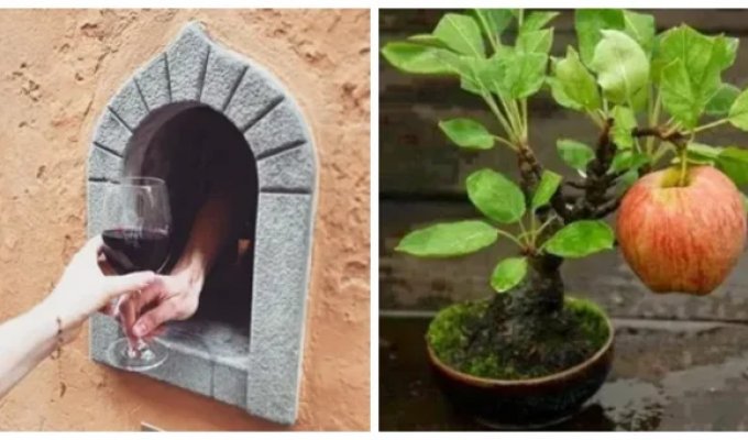 12 пронзительных фотографий с историей, которые трогают до глубины души (13 фото)