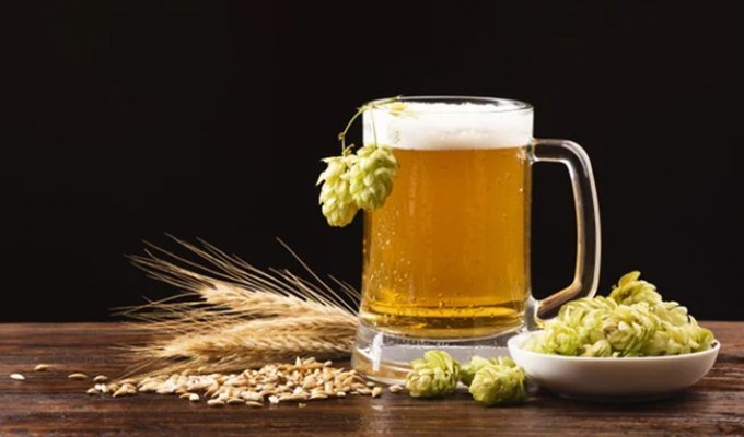 US scientists have found that light beer is very beneficial for the intestines (4 photos)