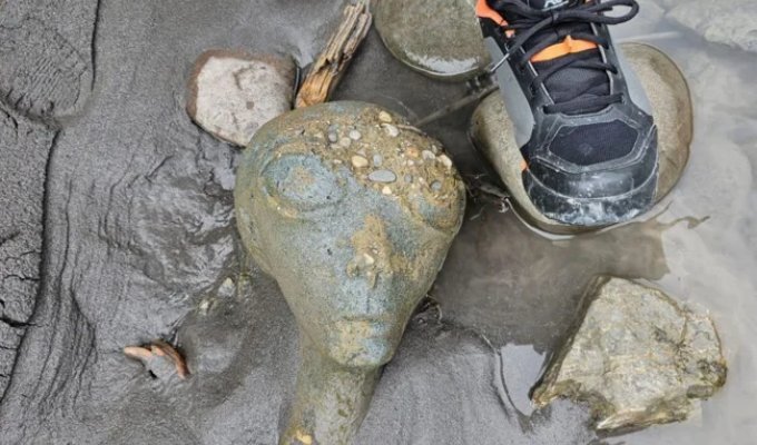 On the bank of a river in Switzerland, a "head" of a humanoid creature was found (3 photos)