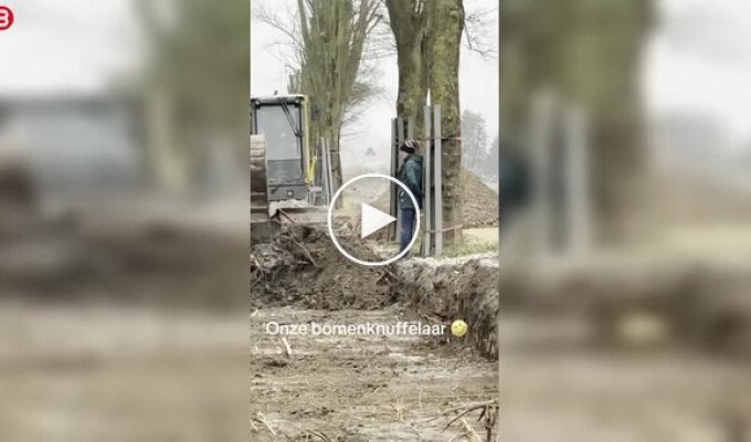 Активист встал перед техникой, чтобы спасти дерево от вырубки