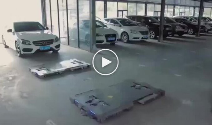Chinese parking in the future