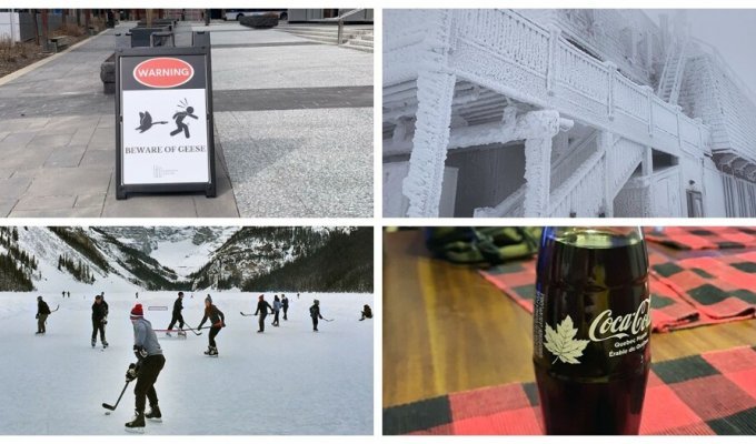 30 photographs from the series “Meanwhile in Canada” (31 photos)