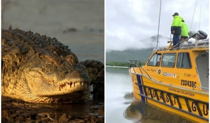 В Австралии крокодил перевернул лодку и съел рыбака (5 фото)