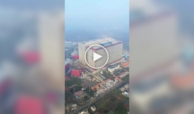 Свиноферма-небоскреб: революция в животноводстве Китая