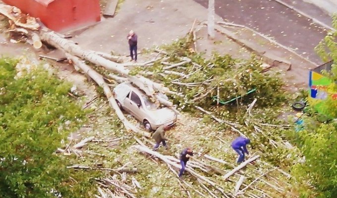 Буря в Николаеве: Выкорчеванные деревья, изуродованные машины и скрюченные билборды