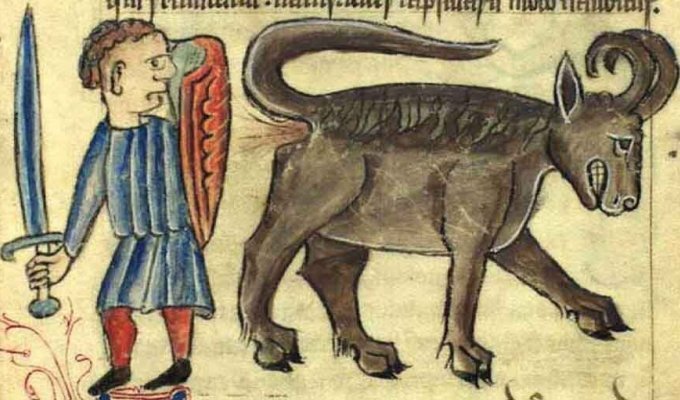 Bonacon - the most indecent animal of the ancient world (8 photos)