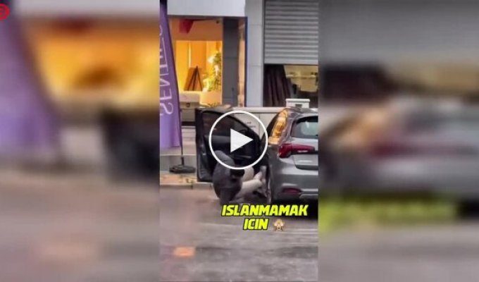 Мужчина попытался запрыгнуть в машину во время ливня в Турции