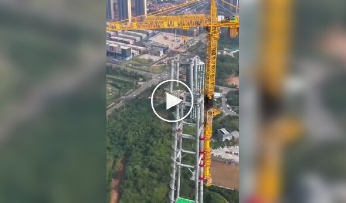 A crane that can climb upwards