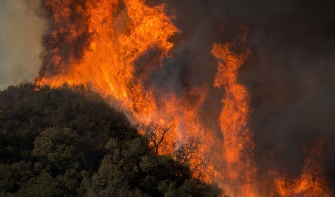 Самый разрушительный пожар в истории Калифорнии (18 фото)