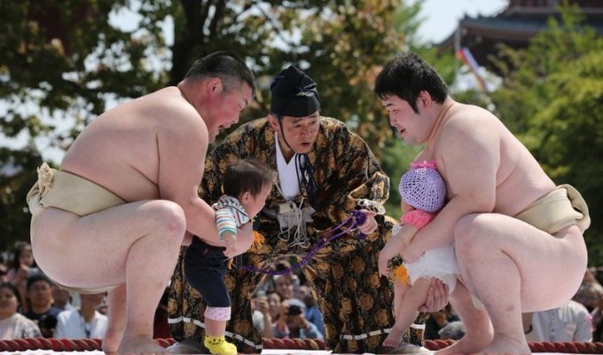 Борцы сумо запугивают младенцев на фестивале Накизумо (11 фото)