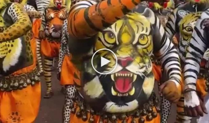 Bright participants of the "tiger" parade in India