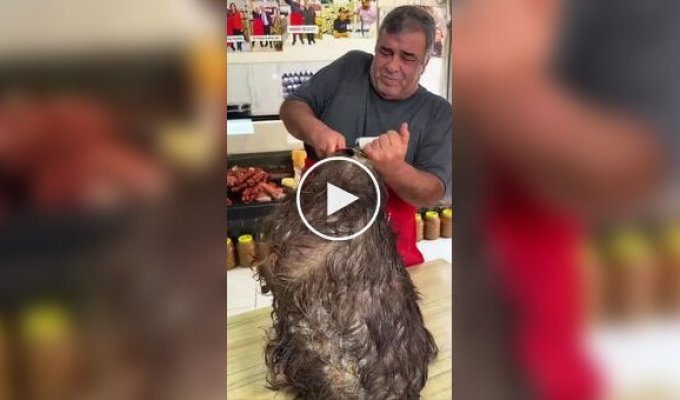 Турецкий сыр Тулум