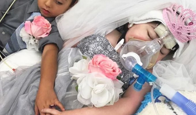 Heartbreaking Final Wishes: 22 Photos That Will Leave You in Tears (22 photos)