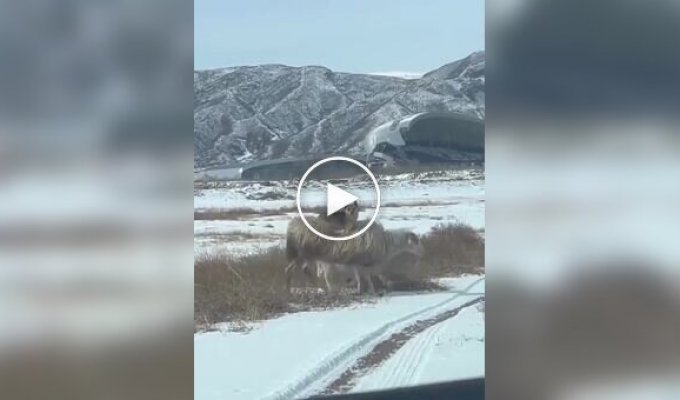 Минимум усилий — максимум контроля