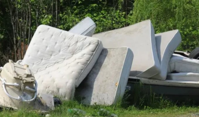 A pensioner threw away her savings of 50 thousand euros along with her old mattress (2 photos)