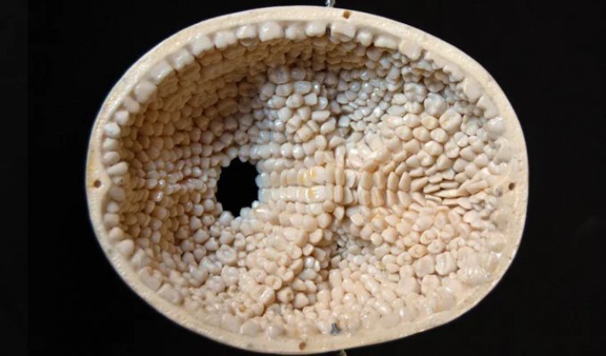 5 Horrible Stories That Will Awaken Your Weirdest Fears (6 photos)
