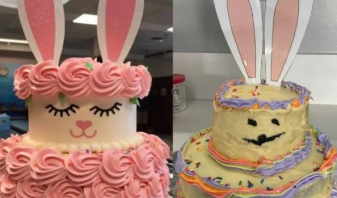 Savory Life: a selection of confectionery fails (11 photos)