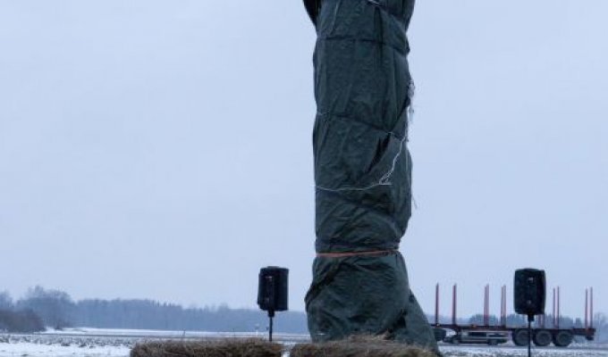 В Эстонии неизвестные спилили огромный деревянный монумент-фаллос (4 фото)