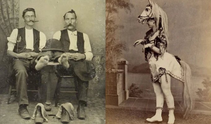 Victorian Life: 46 Rare Photos That Will Surprise You (47 photos)