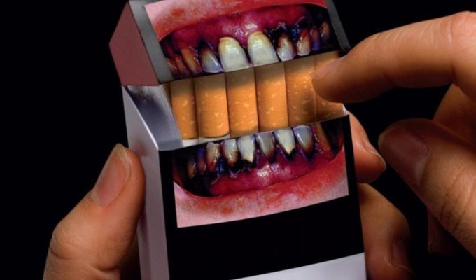 Курить теперь станет ещё страшнее: с 15 ноября ужесточили требования к пачкам сигарет (6 фото)