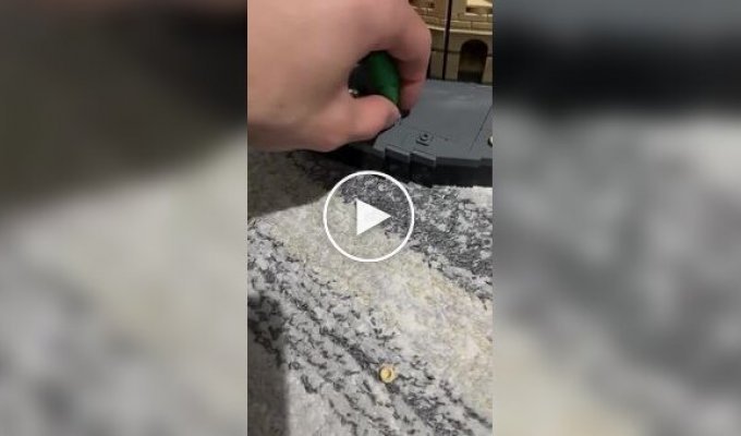 Кот оценил набор LEGO