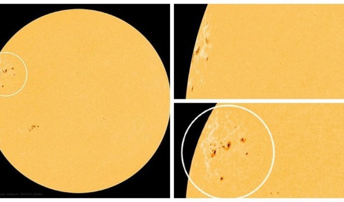 A huge “archipelago” of sunspots 15 times wider than the Earth was discovered on the Sun (7 photos + 1 video)