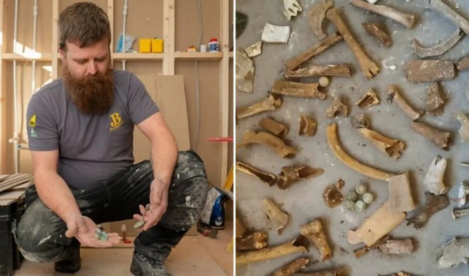 Plumber found dozens of bones under the bathtub (6 photos + 1 video)