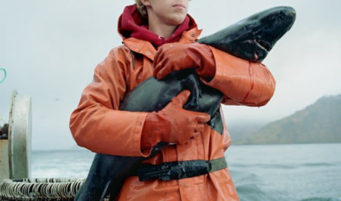 Рыбалка на Аляске (43 фото)
