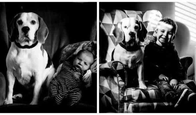 Фотопроект Мальчик и собака (19 фото)