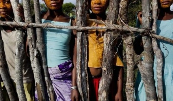 Жизнь на Мадагаскаре (13 фото)
