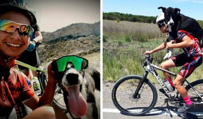 Довезли на плечах: Группа велосипедистов спасла пса от обезвоживания (4 фото + 1 видео)